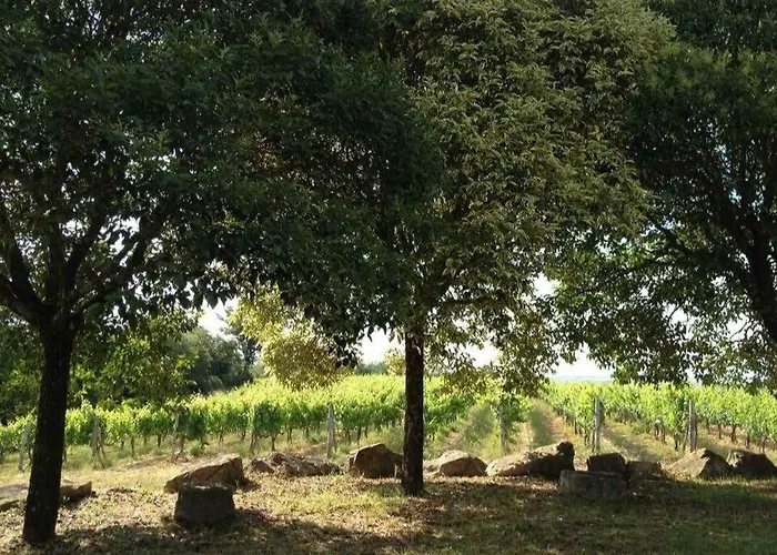 Panoramic Guesthouse In The Siena Hills